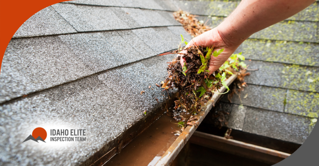 a hand removing leaves and debris from a gutter